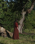 1556.jpg