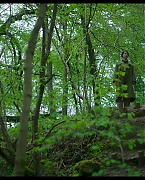 jessiebuckleyvault_0450.jpg