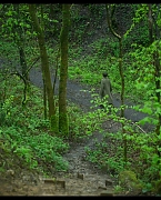 jessiebuckleyvault_0472.jpg