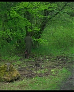 jessiebuckleyvault_0534.jpg