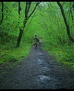 jessiebuckleyvault_0745.jpg
