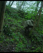 jessiebuckleyvault_0792.jpg