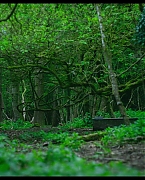 jessiebuckleyvault_0838.jpg